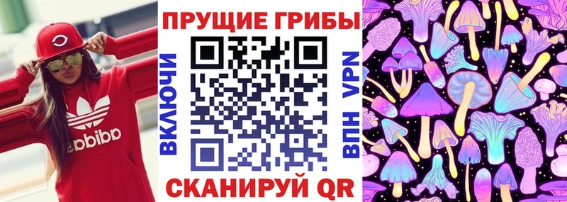 как найти закладки  Ермолино  Галлюциногенные грибы Cubensis 